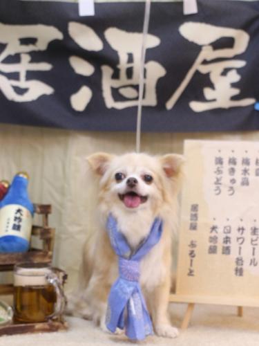 20240623チャッピーちゃん